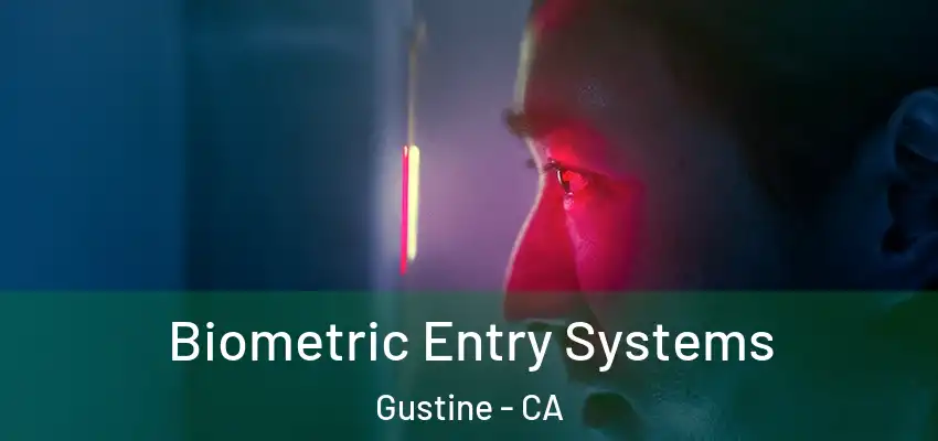 Biometric Entry Systems Gustine - CA