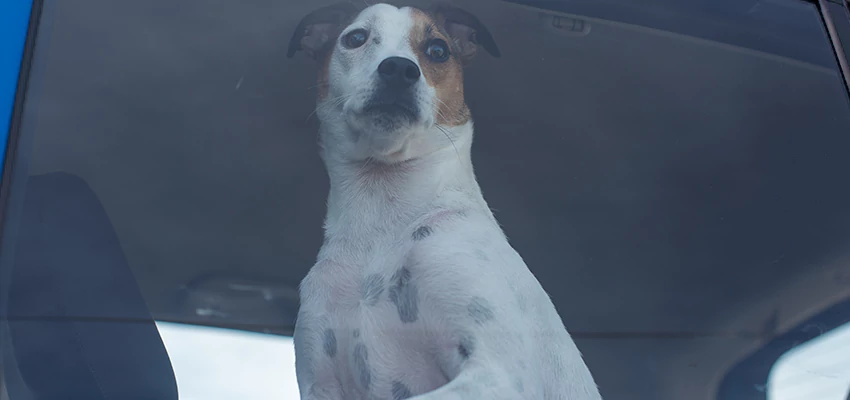 Car Lockout Solutions in Gustine, California