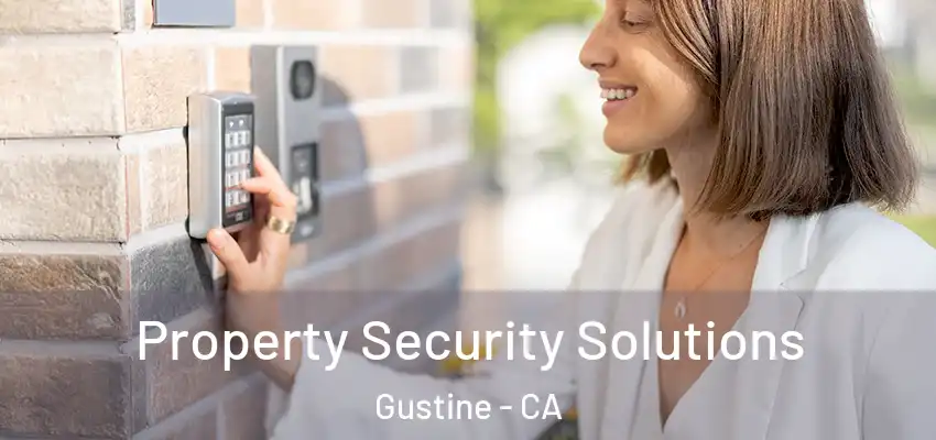  Property Security Solutions Gustine - CA